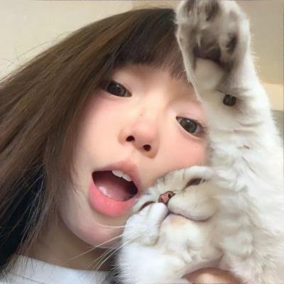 反诈风暴之情爱迷局